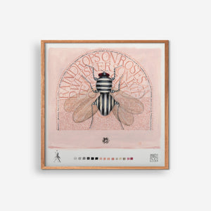 The Fly - Pernille Koch