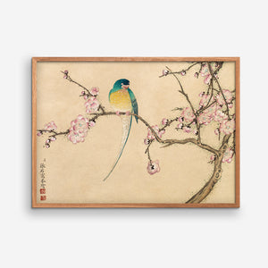 Bird with Plum Blossoms - Zhang Ruoai