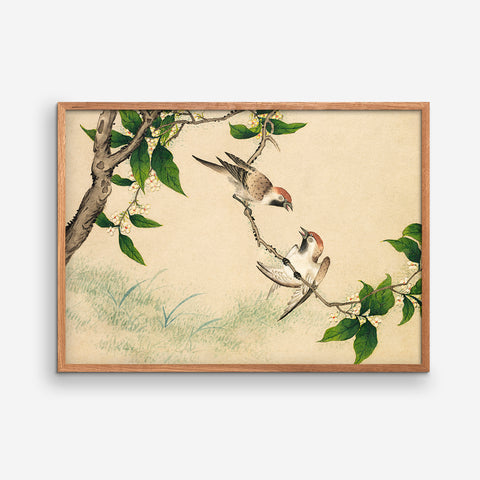 Gossiping Sparrows - Zhang Ruoai